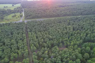 Tract 3 Hwy 155, Frankston, TX 75763 - Photo 2