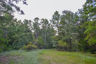 Tract 3 Hwy 155, Frankston, TX 75763 - Photo 24