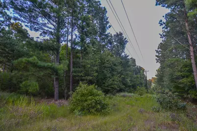 Tract 3 Hwy 155, Frankston, TX 75763 - Photo 10