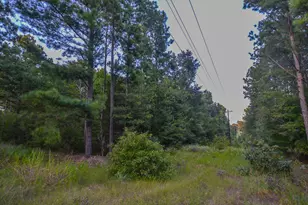 Tract 3 Hwy 155, Frankston, TX 75763 - Photo 10