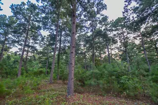 Tract 3 Hwy 155, Frankston, TX 75763 - Photo 22