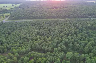 Tract 3 Hwy 155, Frankston, TX 75763 - Photo 6