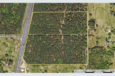 Tract 3 Hwy 155, Frankston, TX 75763 - Photo 26