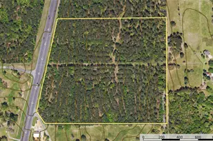 Tract 3 Hwy 155, Frankston, TX 75763 - Photo 26