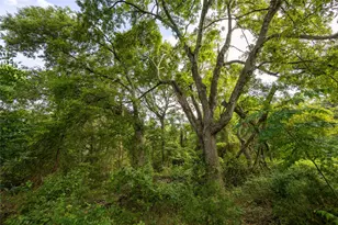 Tract 5 Hwy 155, Frankston, TX 75763 - Photo 16