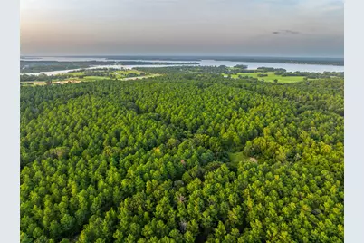 Tract 5 Hwy 155, Frankston, TX 75763 - Photo 1