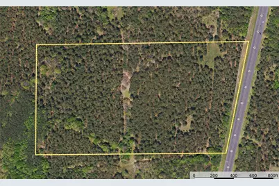 Tract 5 Hwy 155, Frankston, TX 75763 - Photo 26