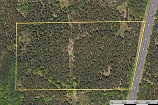 Tract 5 Hwy 155, Frankston, TX 75763 - Photo 26