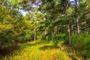 Tract 6 Hwy 155, Frankston, TX 75763 - Photo 14