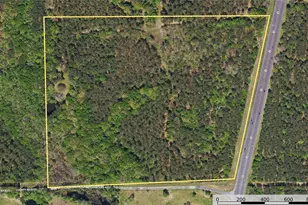 Tract 6 Hwy 155, Frankston, TX 75763 - Photo 26