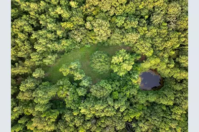 Tract 6 Hwy 155, Frankston, TX 75763 - Photo 8