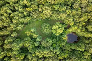 Tract 6 Hwy 155, Frankston, TX 75763 - Photo 8