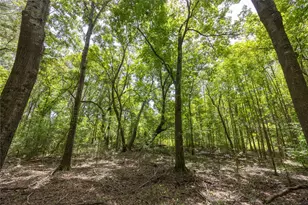 Tract 6 Hwy 155, Frankston, TX 75763 - Photo 4