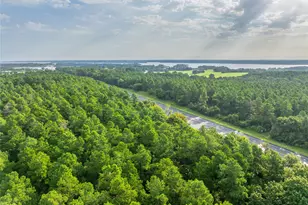 Tract 6 Hwy 155, Frankston, TX 75763 - Photo 10