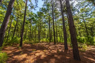 Tract 6 Hwy 155, Frankston, TX 75763 - Photo 2