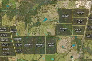 Tract 7 County Road 4221, Frankston, TX 75763 - Photo 34