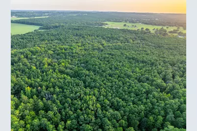 Tract 7 County Road 4221, Frankston, TX 75763 - Photo 24