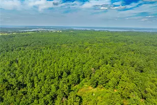 Tract 7 County Road 4221, Frankston, TX 75763 - Photo 28