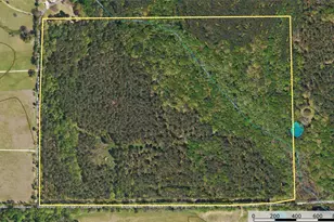 Tract 7 County Road 4221, Frankston, TX 75763 - Photo 32