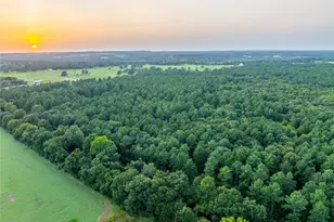 Tract 7 County Road 4221, Frankston, TX 75763 - Photo 26