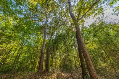 Tract 7 County Road 4221, Frankston, TX 75763 - Photo 20