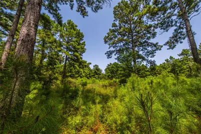 Tract 7 County Road 4221, Frankston, TX 75763 - Photo 10