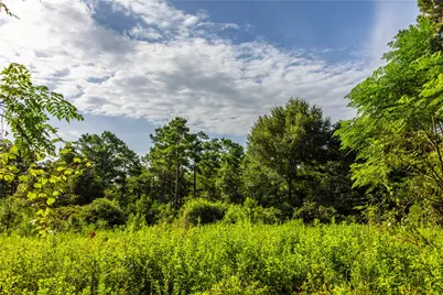 Tract 8 County Road 4221, Frankston, TX 75763 - Photo 6