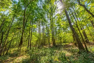 Tract 8 County Road 4221, Frankston, TX 75763 - Photo 10