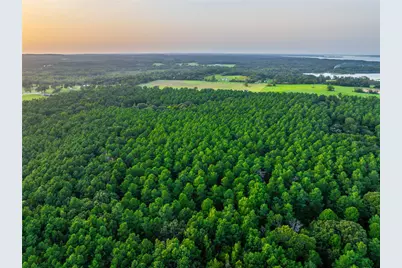 Tract 8 County Road 4221, Frankston, TX 75763 - Photo 20