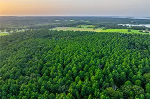 Tract 8 County Road 4221, Frankston, TX 75763 - Photo 20