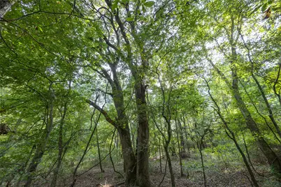 Tract 10 County Road 4222, Frankston, TX 75763 - Photo 14