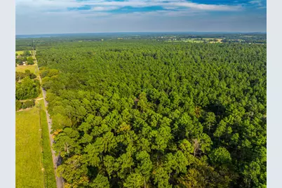 Tract 10 County Road 4222, Frankston, TX 75763 - Photo 22