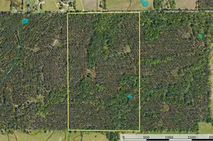 Tract 10 County Road 4222, Frankston, TX 75763 - Photo 28