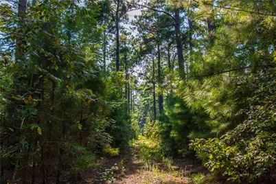 Tract 10 County Road 4222, Frankston, TX 75763 - Photo 16