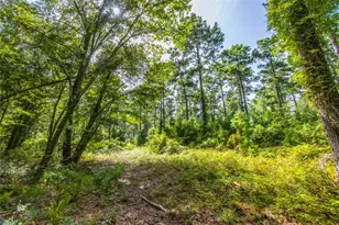 Tract 10 County Road 4222, Frankston, TX 75763 - Photo 8