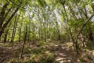 Tract 10 County Road 4222, Frankston, TX 75763 - Photo 12