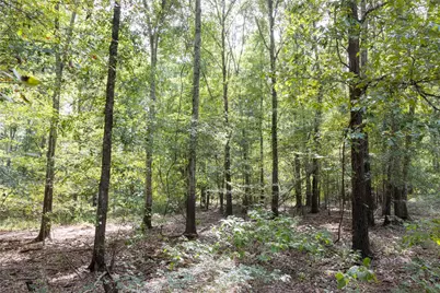 Tract 10 County Road 4222, Frankston, TX 75763 - Photo 2