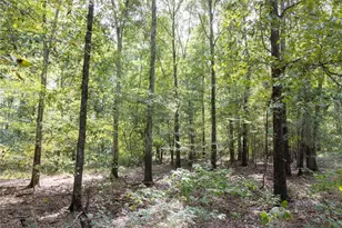 Tract 10 County Road 4222, Frankston, TX 75763 - Photo 2