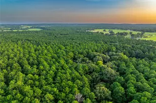 Tract 11 County Road 4222, Frankston, TX 75763 - Photo 16