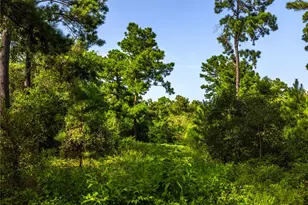 Tract 11 County Road 4222, Frankston, TX 75763 - Photo 12