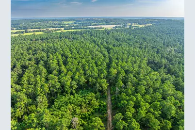 Tract 11 County Road 4222, Frankston, TX 75763 - Photo 18