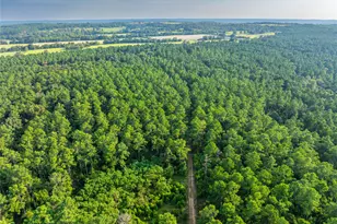 Tract 11 County Road 4222, Frankston, TX 75763 - Photo 18