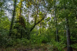 Tract 11 County Road 4222, Frankston, TX 75763 - Photo 4