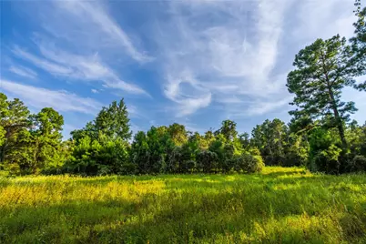 Tract 11 County Road 4222, Frankston, TX 75763 - Photo 2