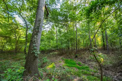 Tract 11 County Road 4222, Frankston, TX 75763 - Photo 6