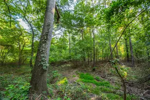 Tract 11 County Road 4222, Frankston, TX 75763 - Photo 6