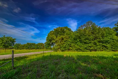 Tract 13 County Road 4224, Frankston, TX 75763 - Photo 8