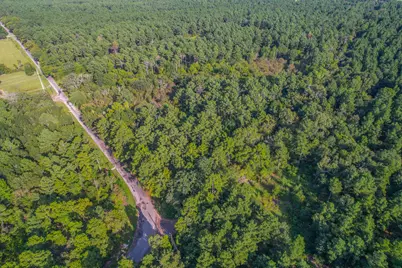 Tract 13 County Road 4224, Frankston, TX 75763 - Photo 2