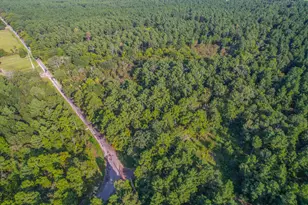 Tract 13 County Road 4224, Frankston, TX 75763 - Photo 2