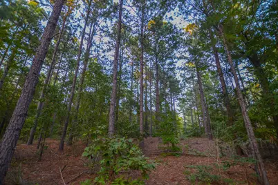 Tract 13 County Road 4224, Frankston, TX 75763 - Photo 10